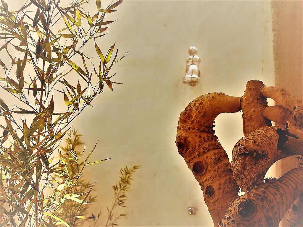 Hostal Palohe טגאנגה מראה חיצוני תמונה