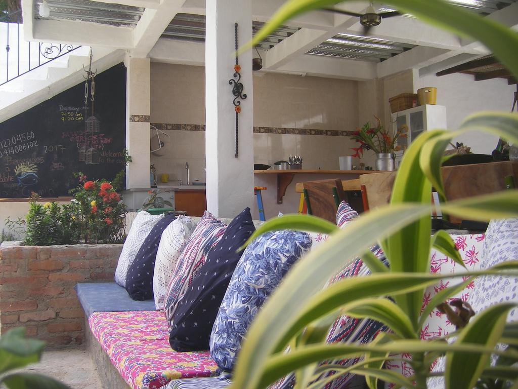 Hostal Palohe טגאנגה מראה חיצוני תמונה